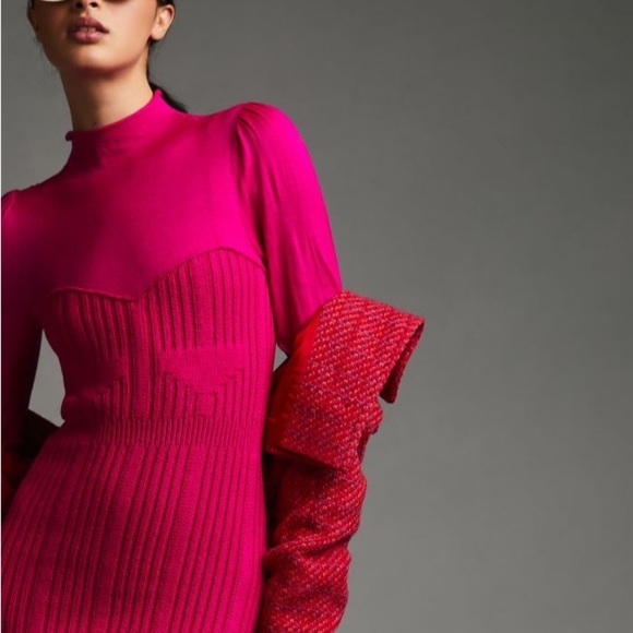 Anthropologie Turtleneck Sweater Dress - Picture 3 of 6